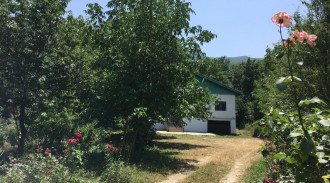 اجاره ویلا جنگلی کلاردشت