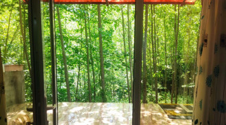 اجاره ویلا جنگلی جوارم(طبقه پایین)