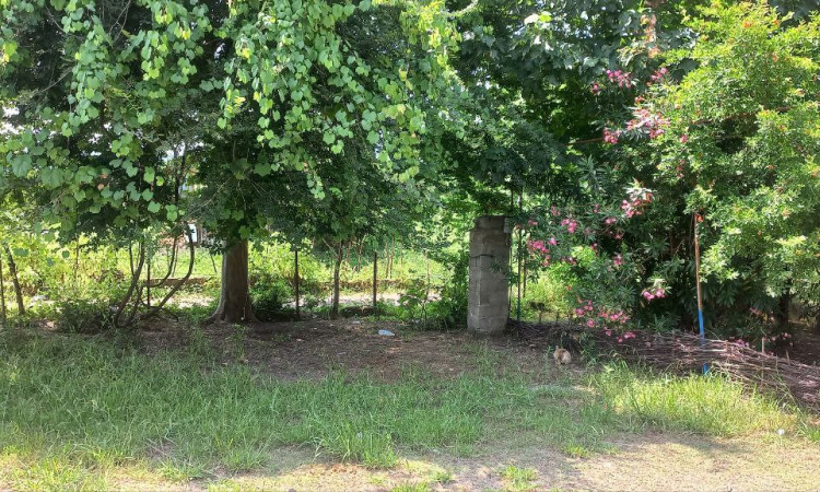 رزروبومگردی تک خوابه عزیزجون