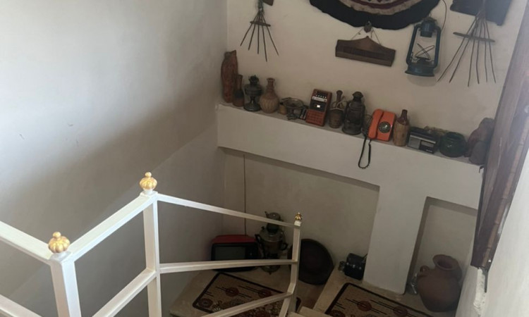 اجاره ویلا چوبی کنار جنگل