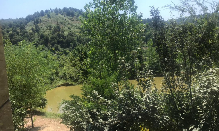 اجاره ویلاجنگلی تک خوابه پدری