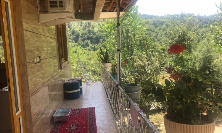 اجاره ویلاجنگلی تک خوابه پدری