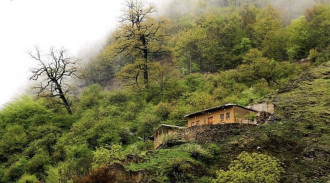 اجاره واحد بام ماسوله