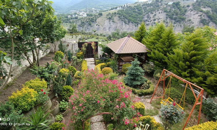 ویلا جنگلی دوخوابه لاویج