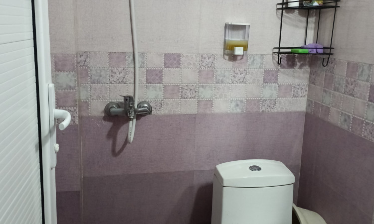 ویلا جنگلی سبز املش