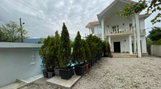 اجاره ویلا با استخردار چهارفصل چالوس