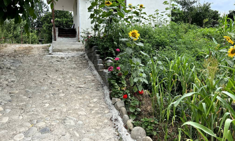 اجاره کلبه 50متری میلاد