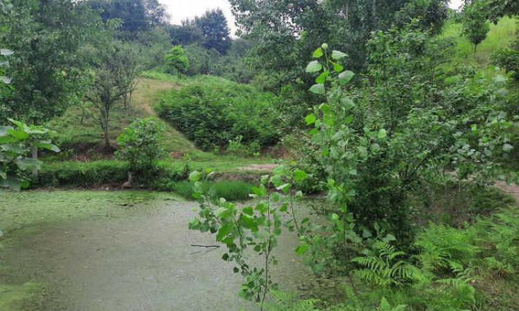 اجاره کلبه 50متری میلاد