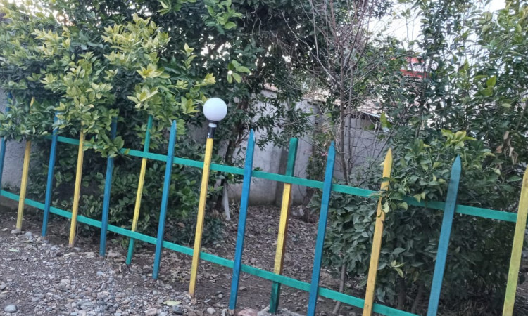اجاره ویلای مستقل جنگلی تک خوابه