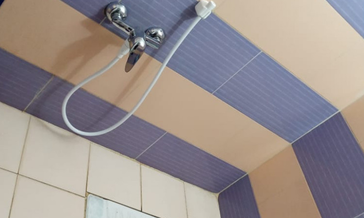 اجاره ویلای مستقل جنگلی تک خوابه