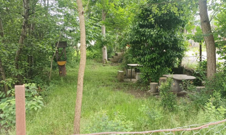 اجاره ویلای مستقل جنگلی تک خوابه