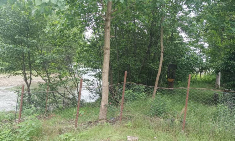 اجاره ویلای مستقل جنگلی تک خوابه