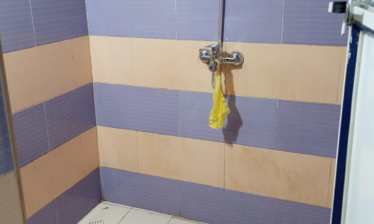 اجاره ویلای مستقل جنگلی تک خوابه