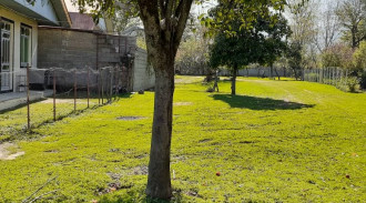 اجاره ویلاتک خوابه ماسال