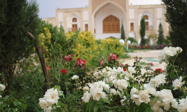 رزرو بوم گردی عمارت تاریخی حاکم - شاخه نبات