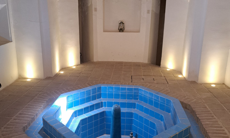 رزرو بوم گردی عمارت تاریخی حاکم - شاخه نبات