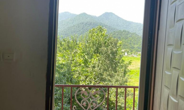 اجاره ویلا تریبلکس گلی