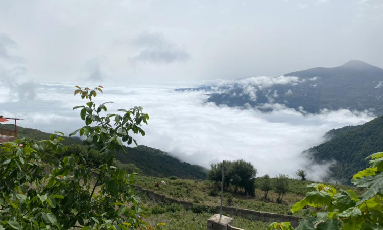اجاره آپارتمان آفتاب سو