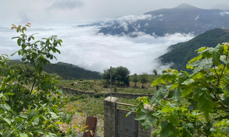 اجاره آپارتمان آفتاب سو