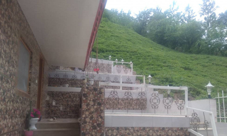 اجاره ویلای جنگلی در دامنه کوه وسط باغ چای