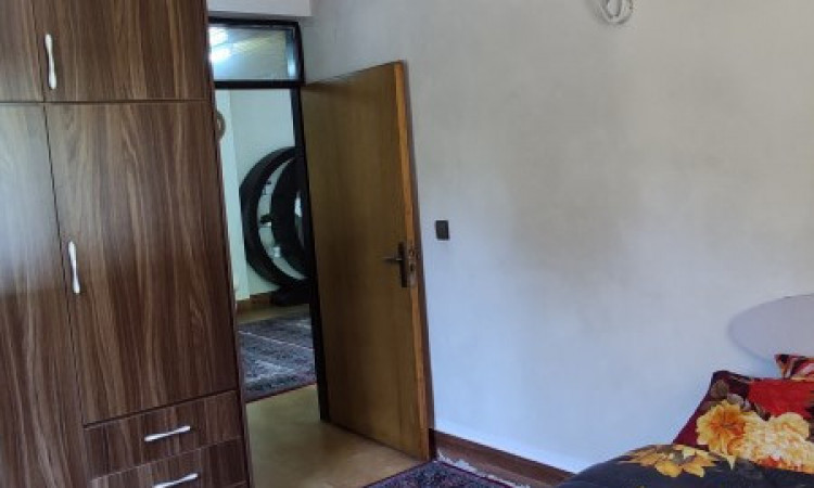 اجاره ویلا تک خواب ویو جنگل