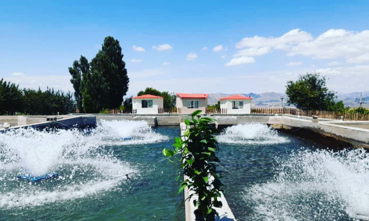 رزرو مزرعه گردشگری یاشیل سارای - اتاق 1