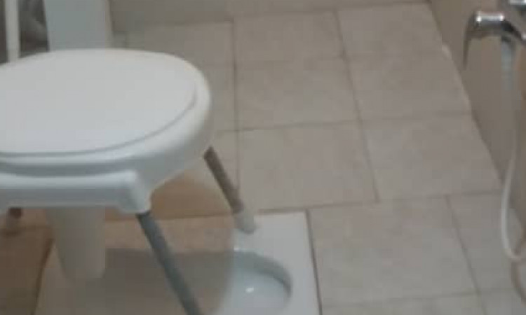 رزرو بوم گردی فلت جنگلی شاندرمن