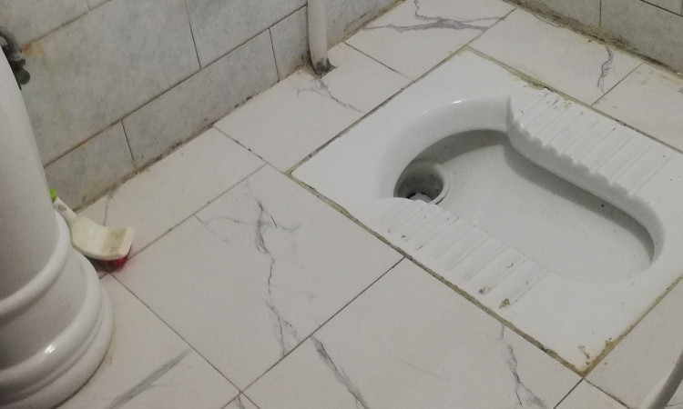 اجاره آپارتمان تک خواب (مجتمع نگین 4)
