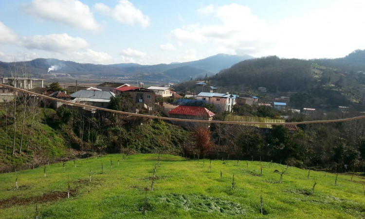 اجاره ویلا جنگلی نامدار 1