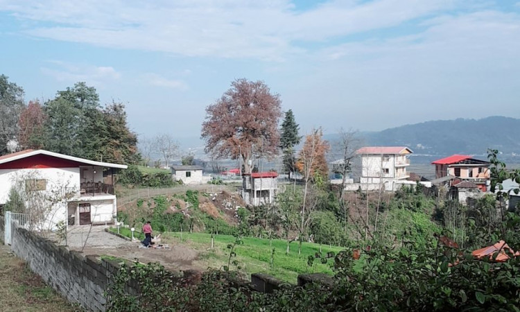 اجاره ویلا جنگلی نامدار 1