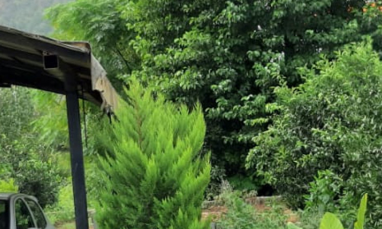 اجاره ویلا دو خوابه طبقه دوم