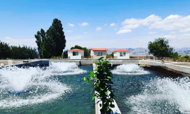 رزرو مزرعه گردشگری یاشیل سارای - اتاق 3