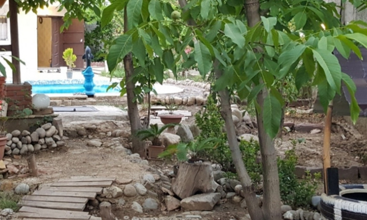اجاره ویلا باغ الی