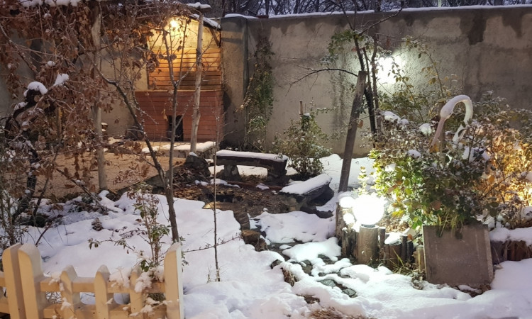 اجاره ویلا باغ الی