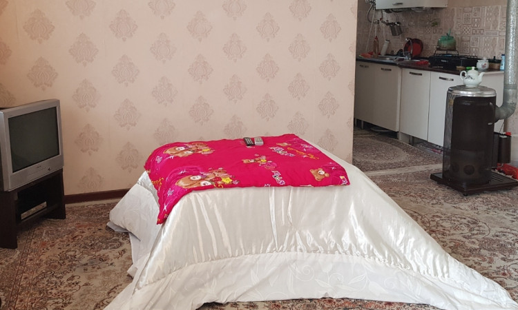 اجاره ویلا باغ الی