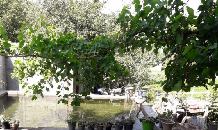 اجاره سوئیت یاسین اردبیل گیوی
