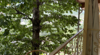 اجاره آپارتمان مهران ، طبقه سه واحد دو