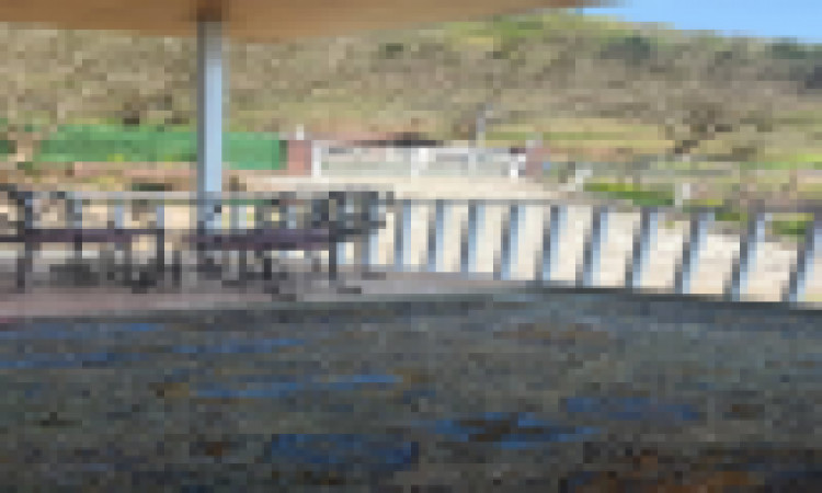 اجاره آپارتمان جنگلی پرديس ماسال