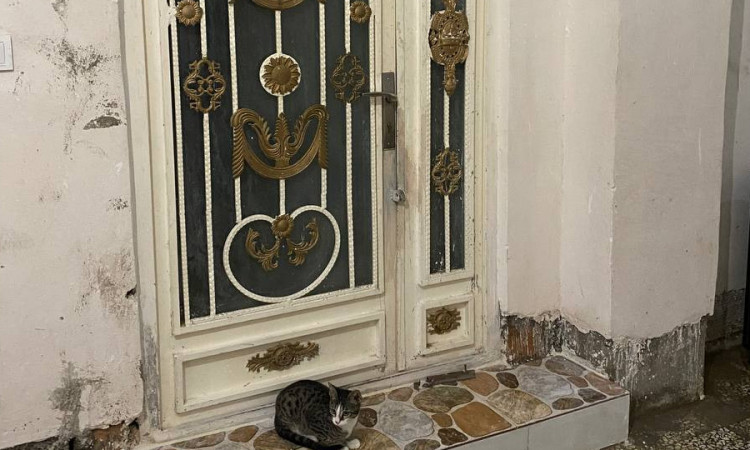 اجاره آپارتمان مبله نزدیک جنگل