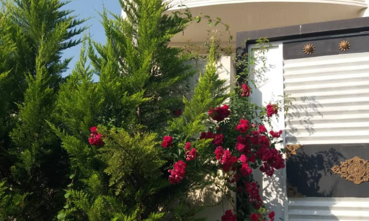 اجاره ویلا 2 خواب زراس1