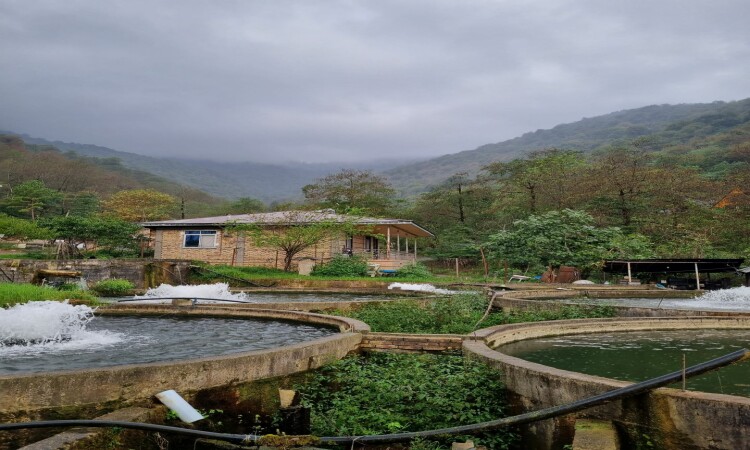 اجاره ویلا دوخوابه فرسام