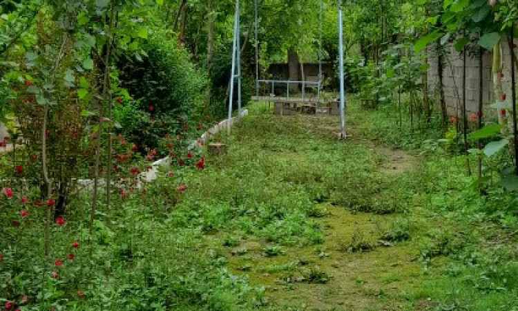 اجاره سوئیت باغ رضوان3