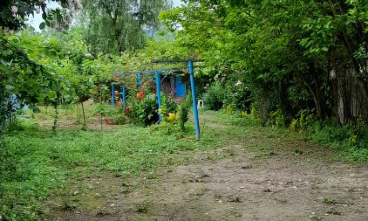 اجاره سوئیت باغ رضوان3