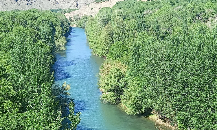 اجاره ویلا الماس (واحد 101)