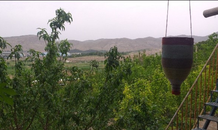رزرو بوم گردی بهرامی
