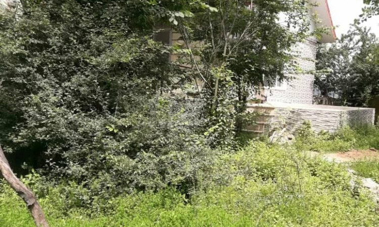 اجاره ویلا روستای نیج سیاهکل