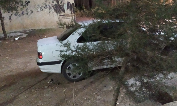 إيجار وحدة بلبل
