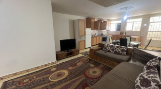 شقة راقية مؤثثة بغرفة نوم واحدة للإيجار في بانك هاميلا