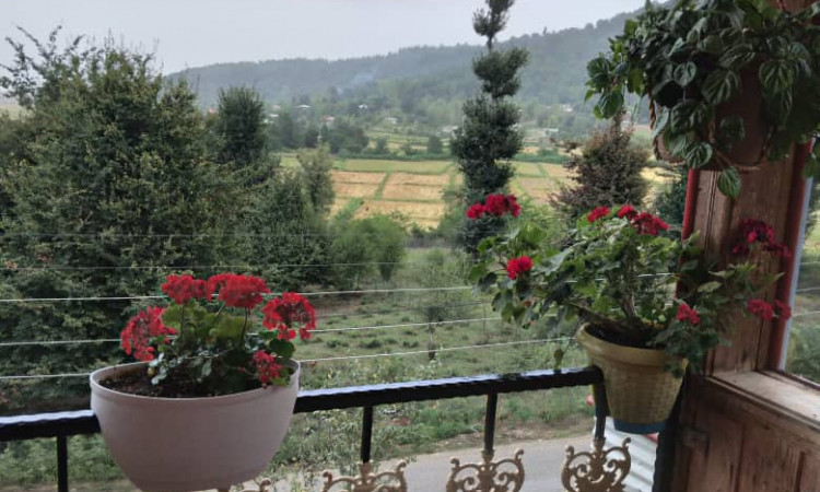 اجاره ویلای چوبی ارشیا