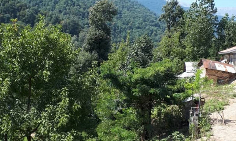 اجاره ویلا چوبی (جنگلی) 2 خواب